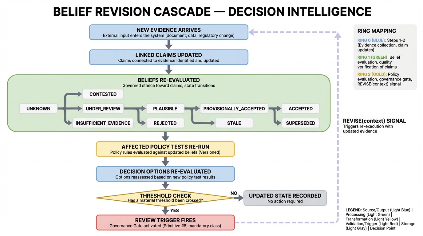 Belief Revision Cascade